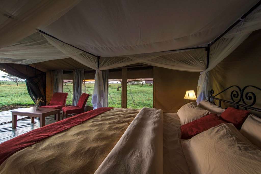 Karibu Camps And Lodges Sametu Camp Serengeti Robanda Zimmer foto